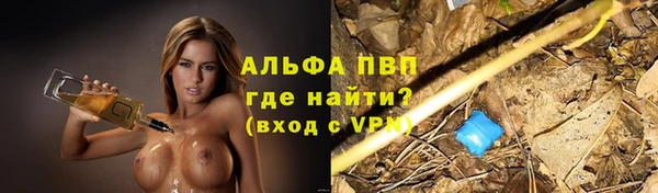 PSILOCYBIN Волоколамск