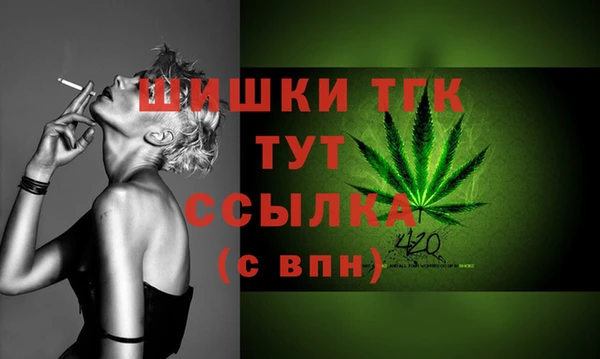 МДПВ Володарск
