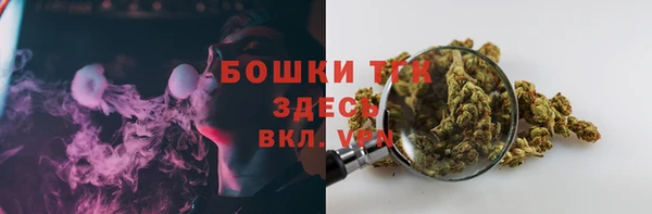 молекула духа Волосово