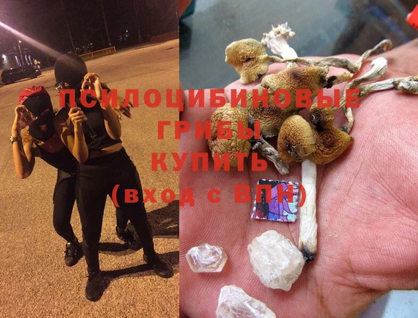 PSILOCYBIN Волоколамск