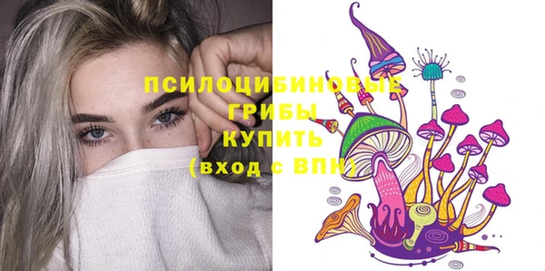 PSILOCYBIN Волоколамск