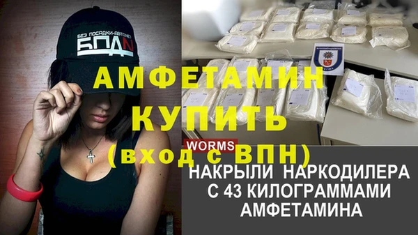 молекула духа Волосово