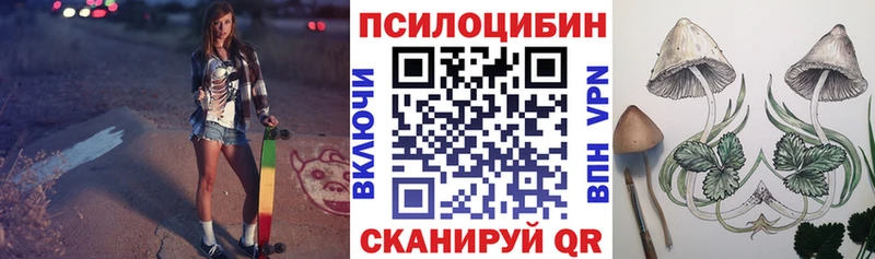 Купить закладки  Кропоткин  Псилоцибиновые грибы ЛСД 